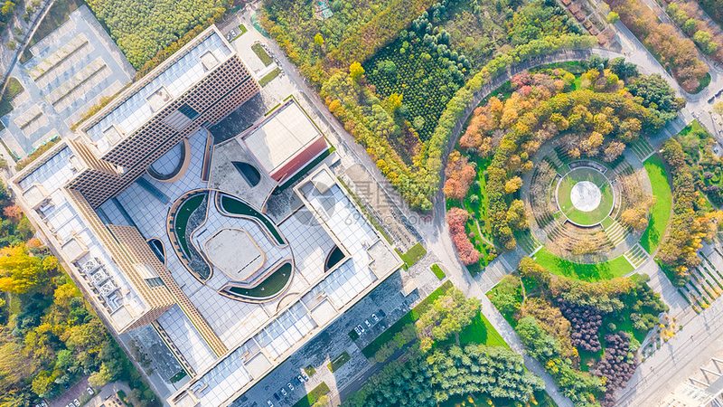 S8050三极管：揭秘华强北报价背后的技术奥秘